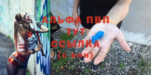 шишки Горняк